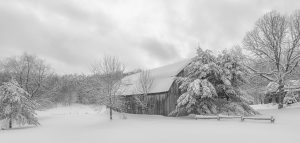 RÉSULTATS DU CONCOURS DE FÉVRIER 2022 « LA NEIGE »